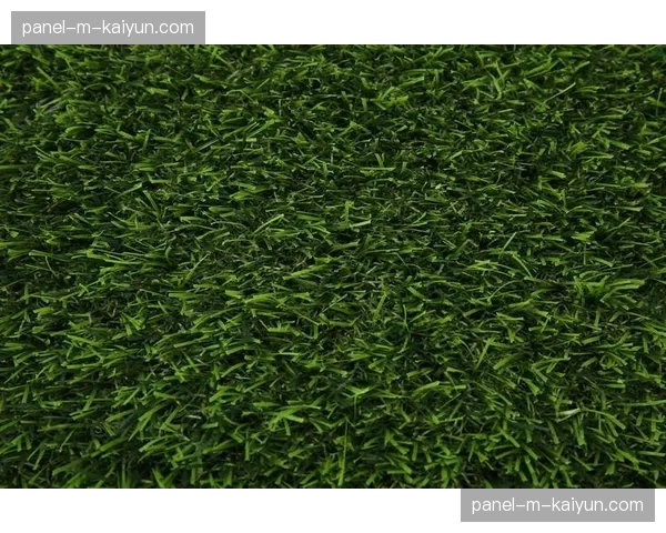 花絮：恶劣天气下，工作人员紧急修补特威克纳姆体育场的草坪